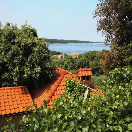 Apartmán With Hot Tub - Gonar, Rab - 4999 Supetarska Draga